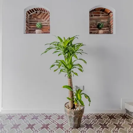 Διαμέρισμα Casa Leyendas De - En Plena Zona Monumental Caces