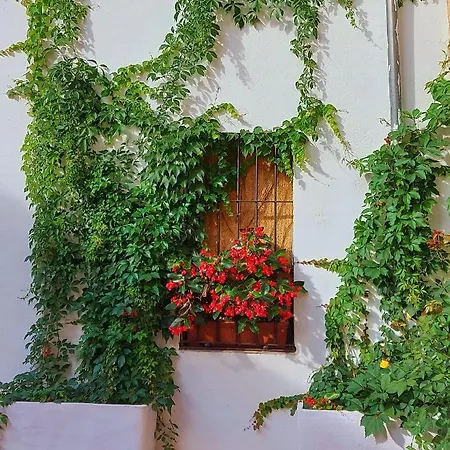 Casa Leyendas De - En Plena Zona Monumental Apartament